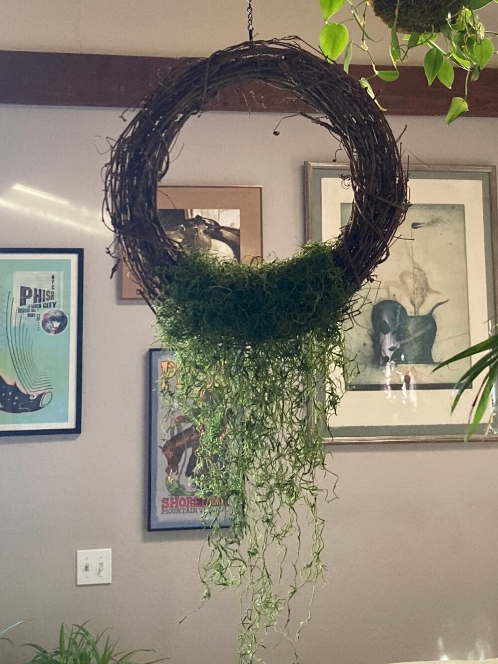 Grapevine Wreath with Spanish Moss - Wall or Hanging - Dark Green - 14.5 inches